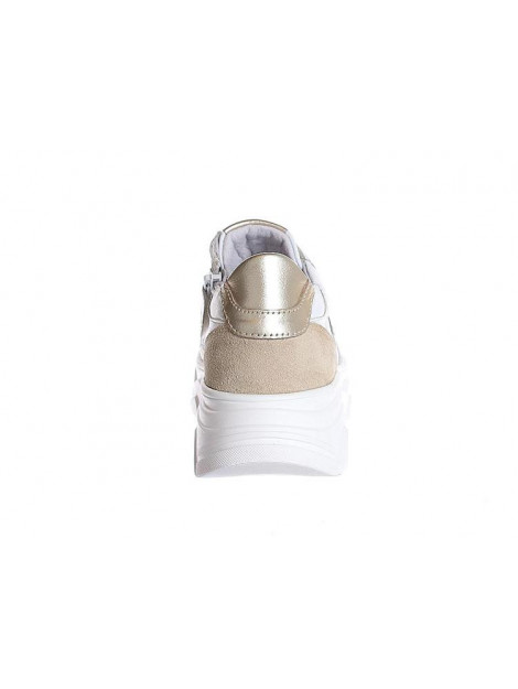 Gattino G1580 G1580 large