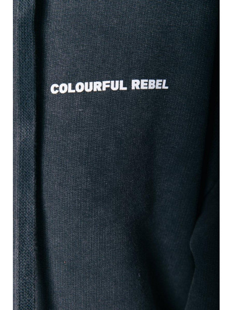Colourful Rebel Rebel guitar oversized hoodie WH113540 large