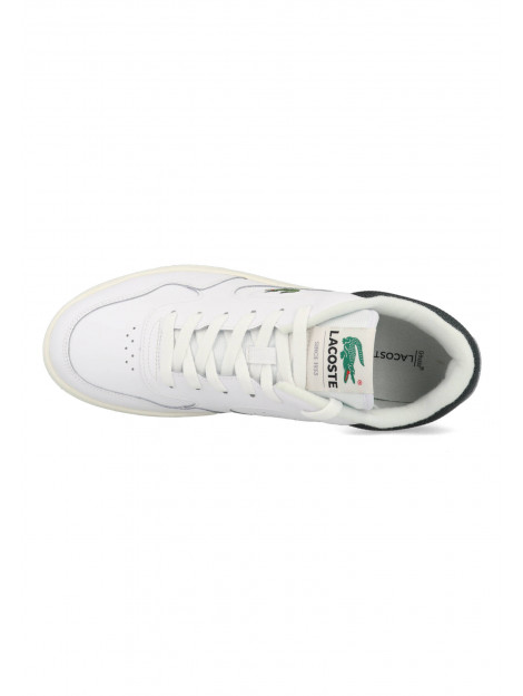 Lacoste Lineset 746sma00451r5 / groen 746SMA00451R5 large