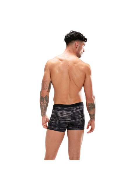 Speedo Eco valmilton aqsh bla/gre 003031-1749 SPEEDO eco valmilton aqsh bla/gre 003031-15749 large