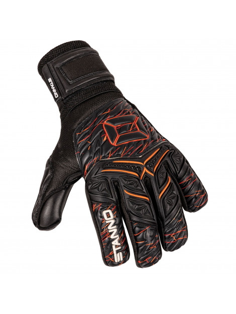 Stanno volare match ii goalkeeper g - 061209_999-9 large