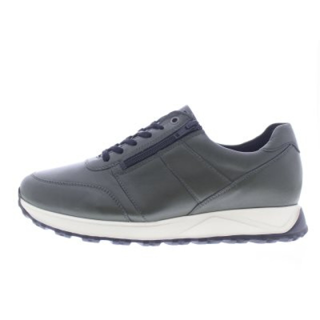 Solidus Harry 83010-70164-H large