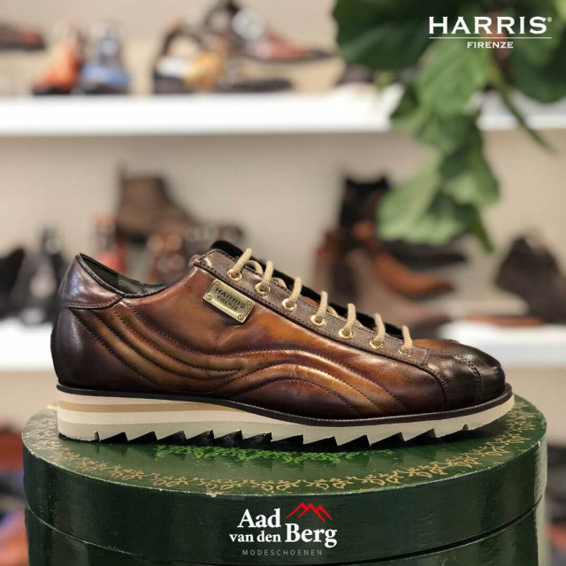 Harris Herenschoenen sneakers 3895P 5339 large