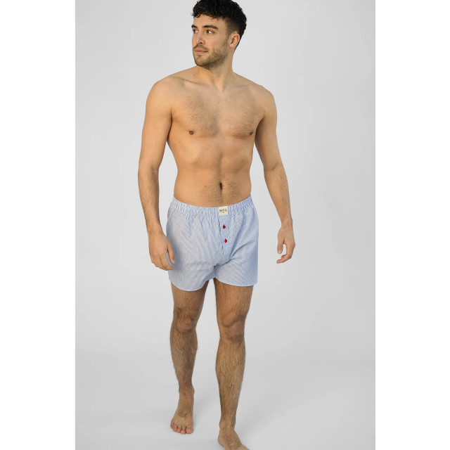 Phil & Co 2-pack wijde boxershorts heren ph-159 geblokt + gestreept PH-159 large