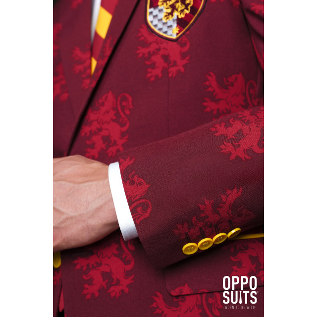 OppoSuits Harry potter™ OSUI-0080 large