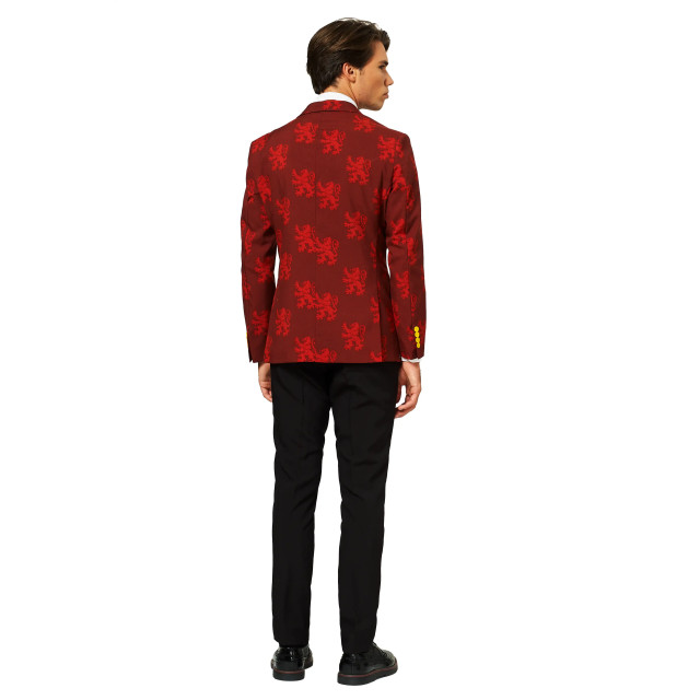 OppoSuits Harry potter™ OSUI-0080 large