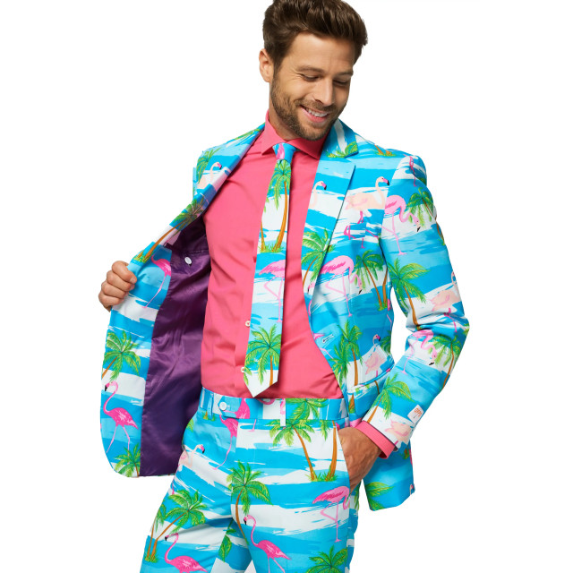 OppoSuits Flaminguy OSUI-0047 large