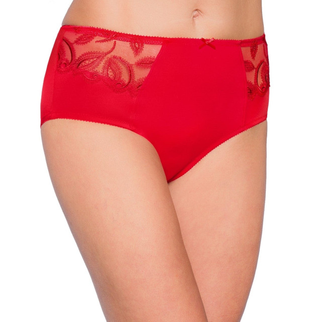 Felina Choice taille slip 213208 518 amarena 5938340135078 large