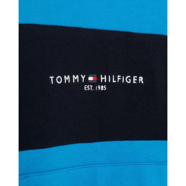 Tommy Hilfiger Essential hoodie essential-hoodie-00052441-blue large