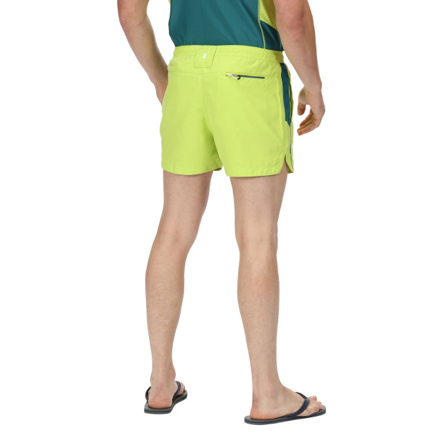 Regatta Heren rehere shorts UTRG7320_brightkiwipacificgreen large