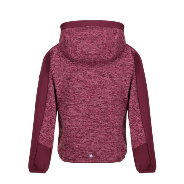 Regatta Childrens/kids dissolver vi marl fleece full zip hoodie UTRG7964_violetamaranthhaze large