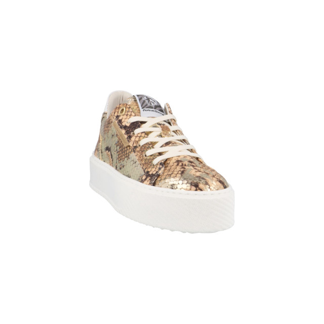 Floris van Bommel sfw-10106-91-01 Sneakers Goud sfw-10106-91-01 large Floris van Bommel sfw-10106-91-01 Sneakers Goud sfw-10106-91-01 large