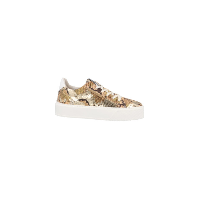 Floris van Bommel sfw-10106-91-01 Sneakers Goud sfw-10106-91-01 large Floris van Bommel sfw-10106-91-01 Sneakers Goud sfw-10106-91-01 large