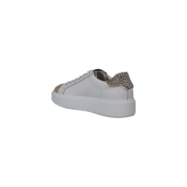 Maruti Veterschoenen 66.1531.03 large Maruti Veterschoenen 66.1531.03 large