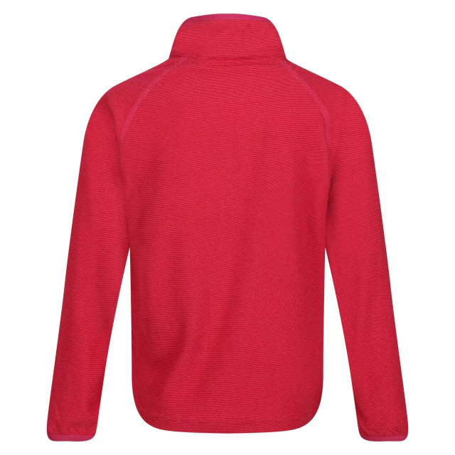 Regatta Kinderen/kinderen loco fleece UTRG3456_pinkpotion large