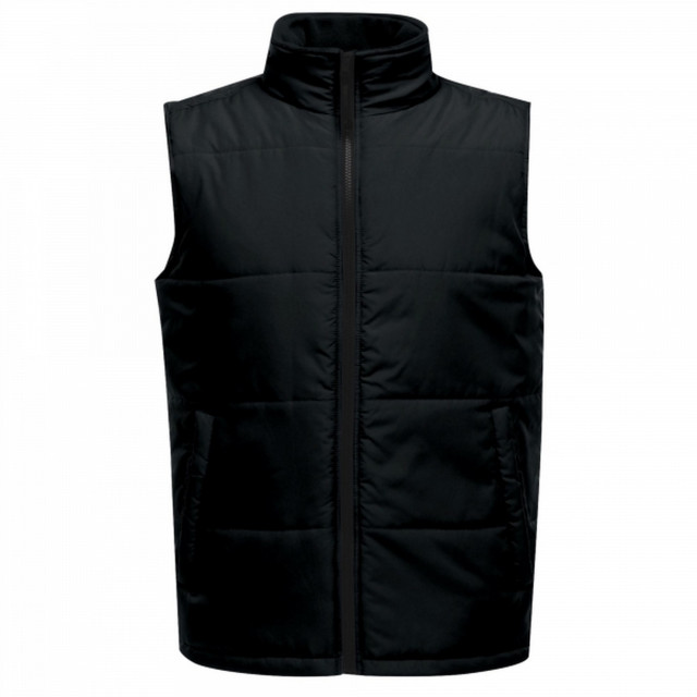 Regatta Heren access geïsoleerde bodywarmer UTRG3564_black large