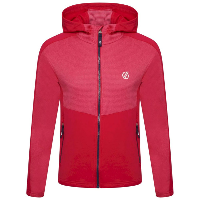 Dare2b Childrens/kids hastily core stretch gerecycleerde midlayer UTRG7165_vallartablue large