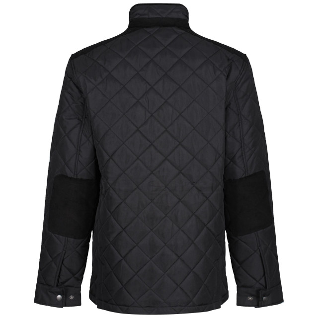 Regatta Padbury gewatteerd herenjack UTRG7156_black large