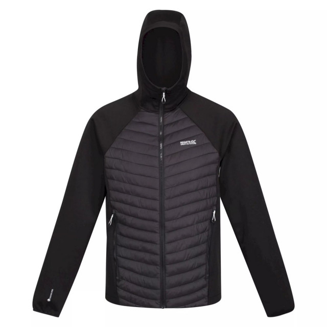 Regatta Heren andreson vii hybride lichtgewicht gewatteerde jas UTRG8078_navy large Regatta Heren andreson vii hybride lichtgewicht gewatteerde jas UTRG8078_navy large