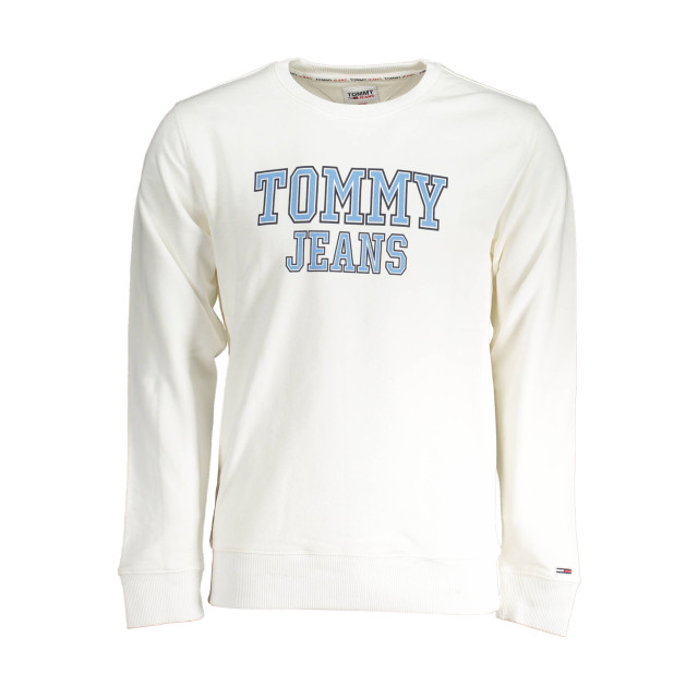 Tommy Hilfiger 61320 sweatshirt DM0DM16366 large