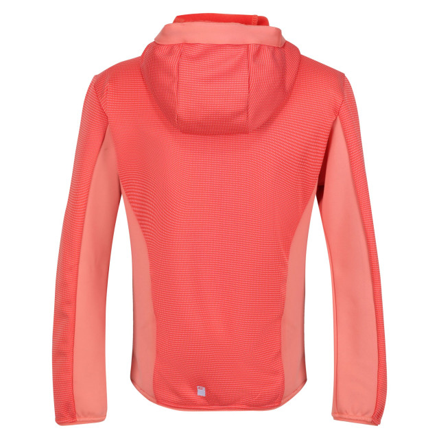 Regatta Kinder/kids highton full zip fleece jas UTRG7389_neonpeachfusioncoral large Regatta Kinder/kids highton full zip fleece jas UTRG7389_neonpeachfusioncoral large