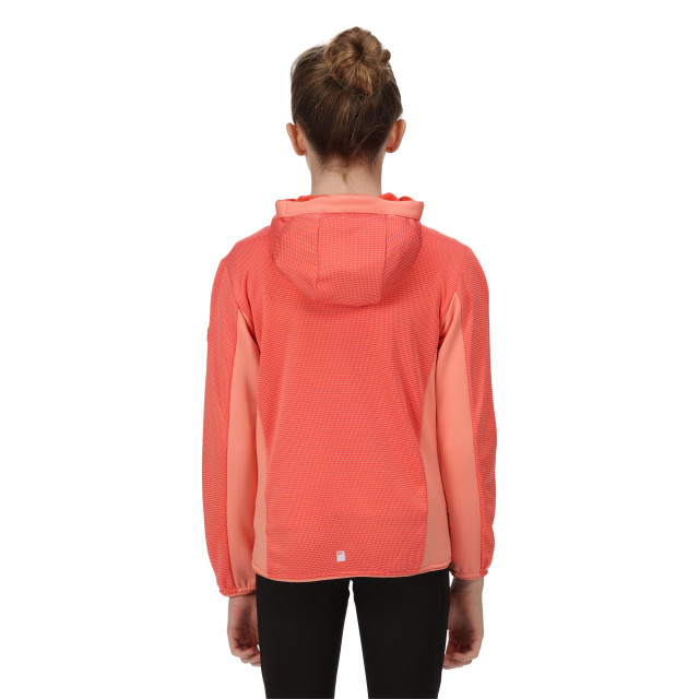 Regatta Kinder/kids highton full zip fleece jas UTRG7389_neonpeachfusioncoral large Regatta Kinder/kids highton full zip fleece jas UTRG7389_neonpeachfusioncoral large