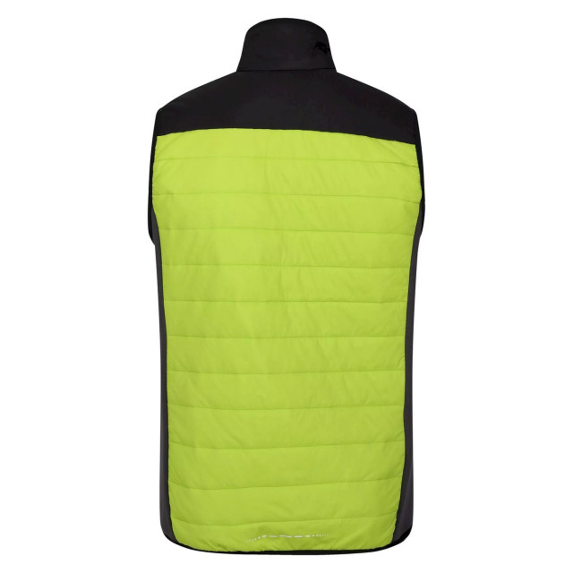 Regatta Heren halton vi lichtgewicht body warmer UTRG8317_brightkiwiblack large