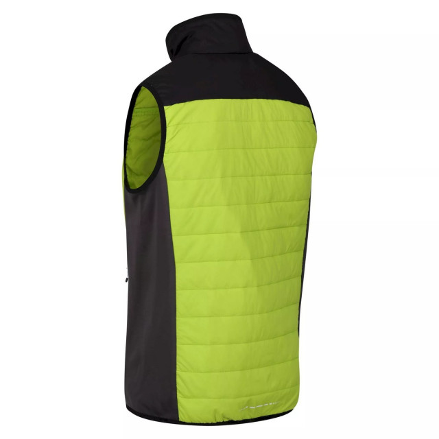 Regatta Heren halton vi lichtgewicht body warmer UTRG8317_brightkiwiblack large