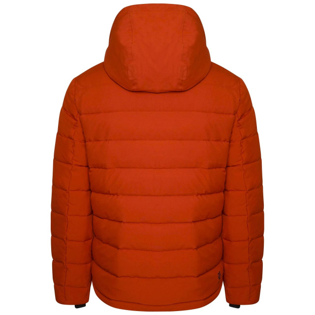 Dare2b Heren endless iii gewatteerde jas UTRG8002_burntbrick large