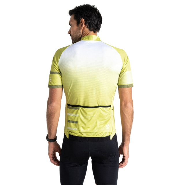 Dare2b Heren revolving aep fietstrui UTRG8702_greenalgae large Dare2b Heren revolving aep fietstrui UTRG8702_greenalgae large