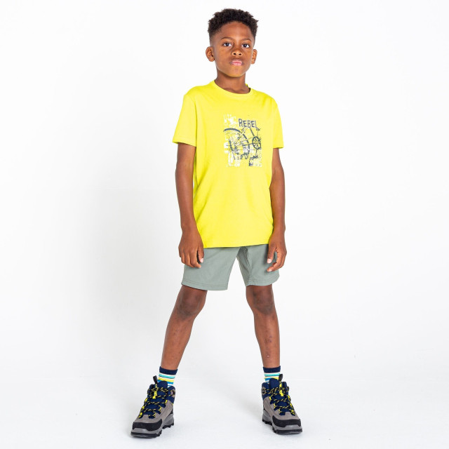 Dare2b Kinder/kids go beyond cycle t-shirt UTRG6816_neonspring large Dare2b Kinder/kids go beyond cycle t-shirt UTRG6816_neonspring large