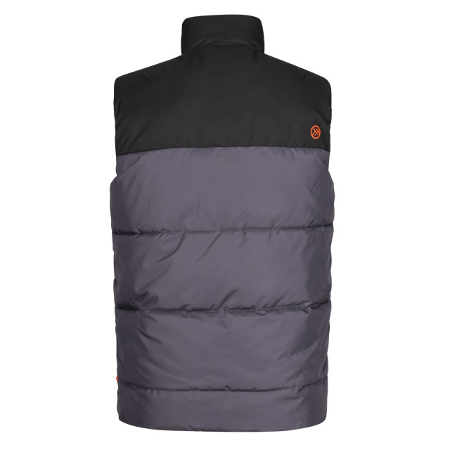 Regatta Geïsoleerde bodywarmer heren regime UTRG6347_ironblack large