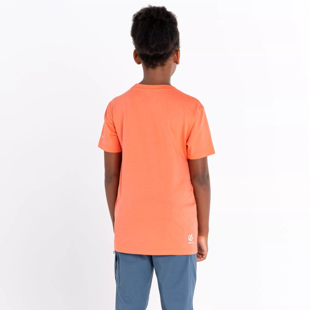 Dare2b Kinderen/kinderen trailblazer grafisch t-shirt UTRG8626_neonpeach large Dare2b Kinderen/kinderen trailblazer grafisch t-shirt UTRG8626_neonpeach large