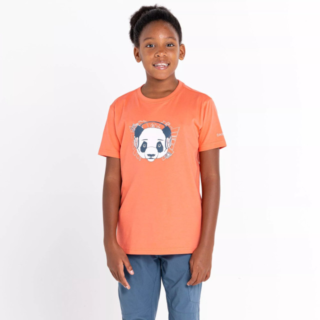 Dare2b Kinderen/kinderen trailblazer grafisch t-shirt UTRG8626_neonpeach large Dare2b Kinderen/kinderen trailblazer grafisch t-shirt UTRG8626_neonpeach large