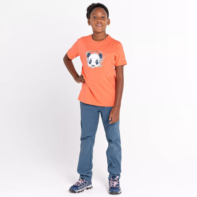 Dare2b Kinderen/kinderen trailblazer grafisch t-shirt UTRG8626_neonpeach large Dare2b Kinderen/kinderen trailblazer grafisch t-shirt UTRG8626_neonpeach large