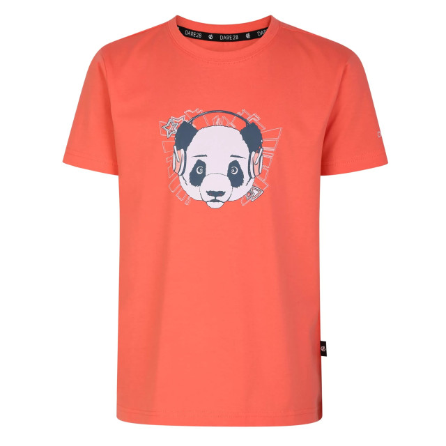 Dare2b Kinderen/kinderen trailblazer grafisch t-shirt UTRG8626_neonpeach large Dare2b Kinderen/kinderen trailblazer grafisch t-shirt UTRG8626_neonpeach large
