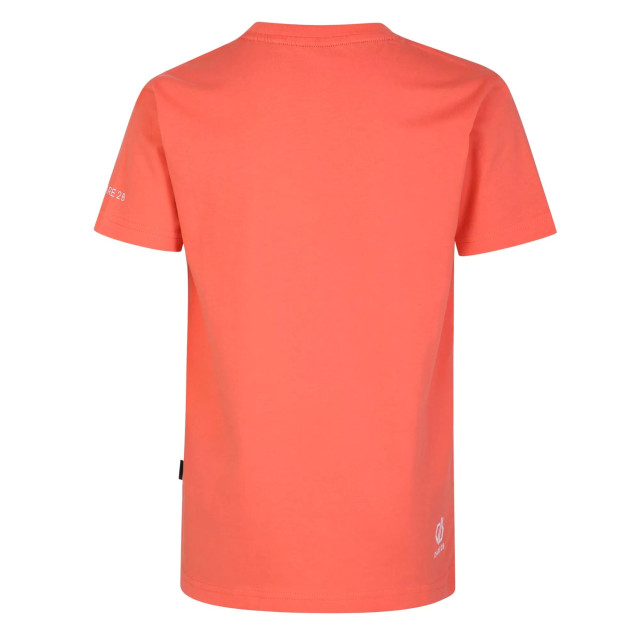 Dare2b Kinderen/kinderen trailblazer grafisch t-shirt UTRG8626_neonpeach large Dare2b Kinderen/kinderen trailblazer grafisch t-shirt UTRG8626_neonpeach large