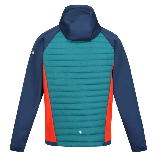 Regatta Heren andreson vii hybride lichtgewicht jas UTRG8162_pacificgreenadmiralblue large Regatta Heren andreson vii hybride lichtgewicht jas UTRG8162_pacificgreenadmiralblue large