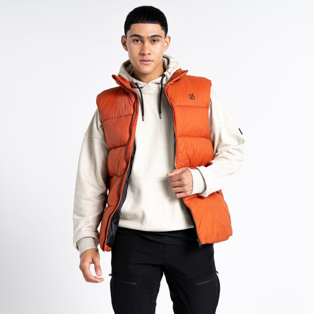 Dare2b Heren jermaine jenas mentor gewatteerd gilet UTRG8631_burntbrick large