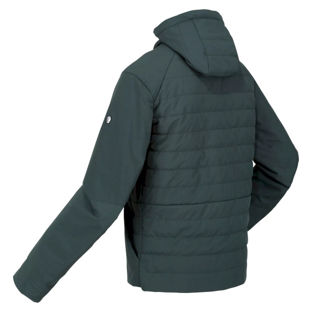 Regatta Heren daxford full zip jacket UTRG8368_greengables large Regatta Heren daxford full zip jacket UTRG8368_greengables large