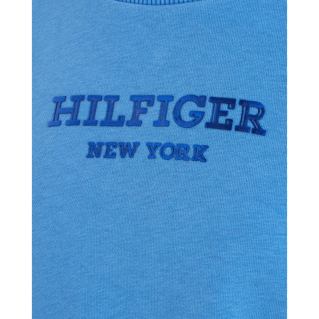 Tommy Hilfiger Sweater sweater-00052908-blue large