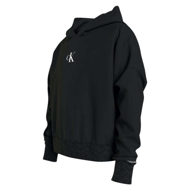 Calvin Klein Hoodie hoodie-00052886-black large
