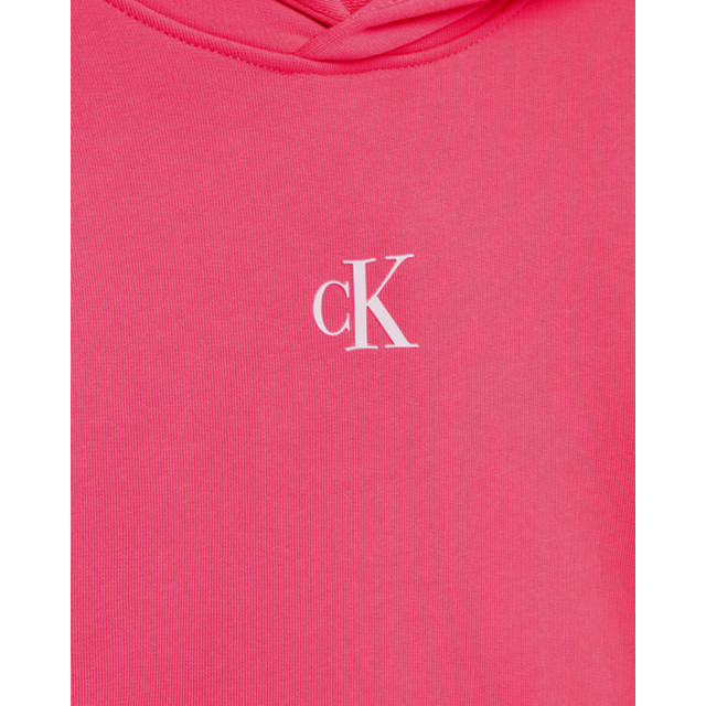 Calvin Klein Hoodie hoodie-00052885-pink large