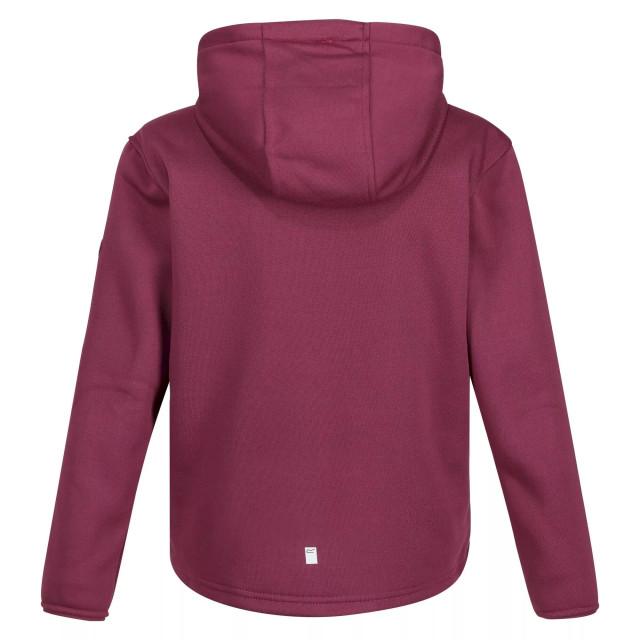 Regatta Kinderen/kinderen dream believe achieve extol stretch hoodie UTRG8010_amaranthhaze large