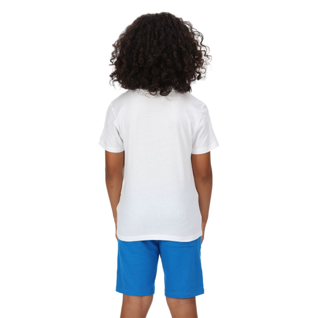 Regatta Kinderen/kinderen bosley v urban city t-shirt UTRG7299_white large