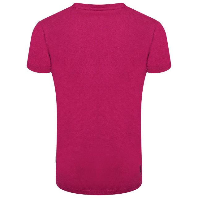 Dare2b Kinderen/kinderen go beyond grafisch t-shirt UTRG5023_fuchsia large Dare2b Kinderen/kinderen go beyond grafisch t-shirt UTRG5023_fuchsia large