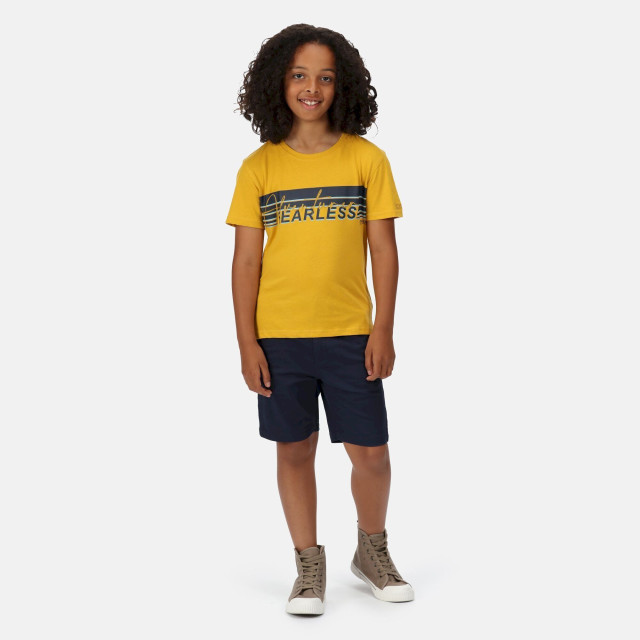 Regatta Kinderen/kinderen bosley v stripe t-shirt UTRG7399_yellowgold large