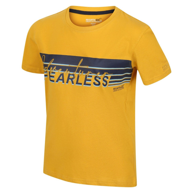 Regatta Kinderen/kinderen bosley v stripe t-shirt UTRG7399_yellowgold large