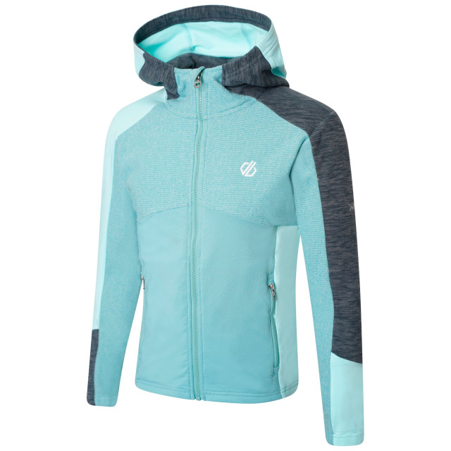 Dare2b Kinder/kids hero core stretch gerecycleerde hoodie UTRG7068_aquasplashmeadowbrookgreen large