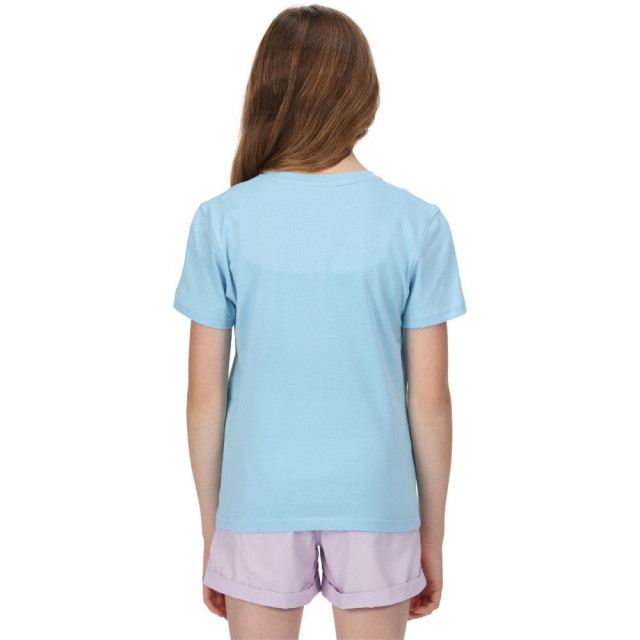 Regatta Kinder/kids bosley v bedrukt t-shirt UTRG7443_powderblue large